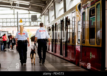 15 August 2018, Berlin, Germany: Two German Railways Security employees leave with a service dog at the inauguration of the second of a total of five new S-Bahn guards at Ostkreuz station patrol. Security forces are there day and night, accompanied and supported by protection dogs. Photo: Christoph Soeder/dpa Stock Photo