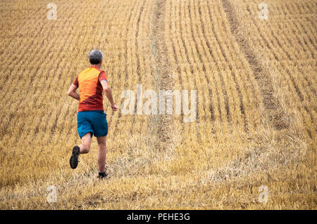 Billingham, north east  England. United Kingdom. 16th August, 2018. UK weather: A jogger runs along a footpath through a recently combined wheatfield as a band of early morning rain on Thursday slowly clears the north east of England as it moves south east across the country. Credit: ALAN DAWSON/Alamy Live News Stock Photo