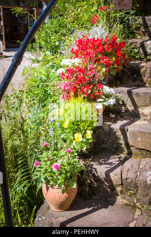 Floral planters on stone stairway to a holiday cottage in Cockington Devon UK Stock Photo