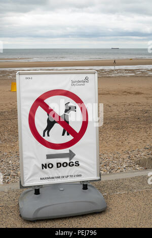 Dogs are banned on this beach sign symbol Porth Chapel Cornwall UK ...