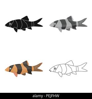 Botia clown (Botia macracantha) fish icon cartoon. Singe aquarium fish icon from the sea,ocean life . Stock Vector