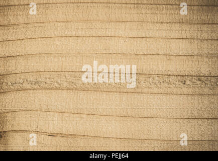Old wood texture. Perfect vintage background with copyspace. Stock Photo