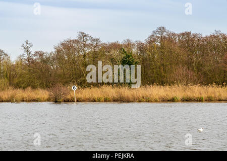 Looking from the Wroxham Broad towards the shore near Wroxham, The Broads, Norfolk, England, UK Stock Photo