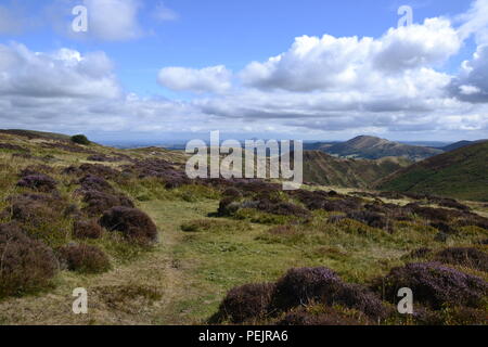 Views of the Shropshire Hills, from Carding Mill Valley to the Long Mynd. England, UK Stock Photo