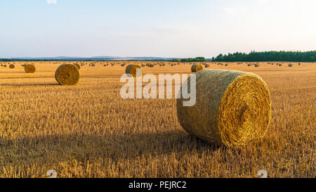 Sunlit landscape. Straw bales on a gold stubble field. Summer rural farmland. Grain harvesting. Natural agricultural background. Blue sky, distances. Stock Photo
