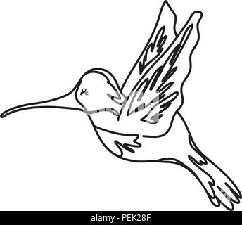 line drawing of a bird flying Stock Vector Image & Art - Alamy