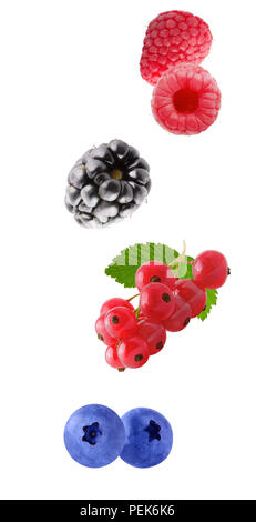 Isolated falling berries. Flying fresh berries (blackberry, blueberry, raspberry, red currant)  isolated on white background with clipping path as pac Stock Photo