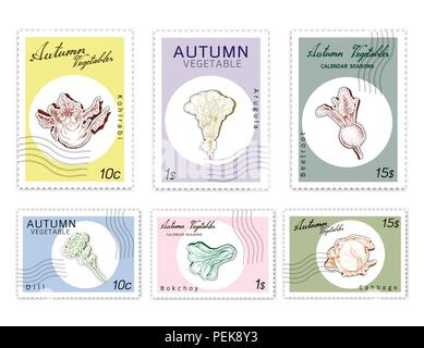 Autumn Vegetables, Post Stamps Set of Hand Drawn Sketch Kohlrabi, Arugula or Rocket Salad, Beetroot, Bok Choy or Pak Choi, Cabbage and Dill in Trendy  Stock Vector