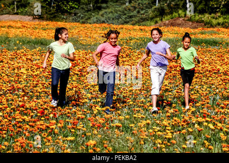 Happy multi racial tween preteen boys and girls happily running through flower field in spring  season © Myrleen Pearson  ...Ferguson Cate Stock Photo