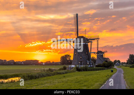 Row of two historic wooden windmills under orange sunset in dutch polder landscape Stock Photo