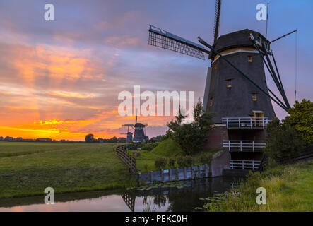 Row of three historic wooden windmills under orange sunset in dutch polder landscape Stock Photo