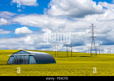 Transmission towers in the middle of a yellow canola field in bloom near Cowley and Pincher Creek, Alberta, Canada. Stock Photo