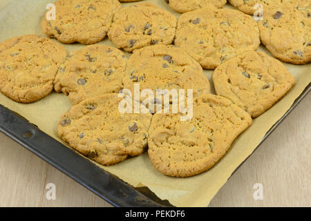 Baked chocolate chip cookies on parchment paper placed too close together and merged together while baking Stock Photo