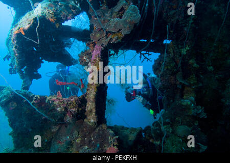 Divers (MR) photographing marine life on a large wreck, Palau, Micronesia. Stock Photo
