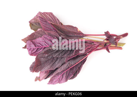 Organic Red amaranth salad leaves, isolated on white background Stock Photo