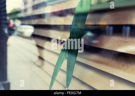 Reflection of city in the window with shutters with plants Stock Photo