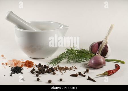 White ceramic mortar and pestle fresh dill garlic cumin seeds Himalayan pink salt Hawaii red aloes salt Hawaii black pearl salt cloves chili pepper bl Stock Photo