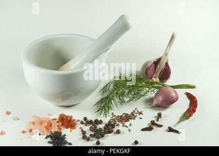 White ceramic mortar and pestle fresh dill garlic cumin seeds Himalayan pink salt Hawaii red aloes salt Hawaii black pearl salt cloves chili pepper bl Stock Photo