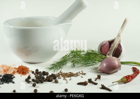 White ceramic mortar and pestle fresh dill garlic cumin seeds Himalayan pink salt Hawaii red aloes salt Hawaii black pearl salt cloves chili pepper Stock Photo