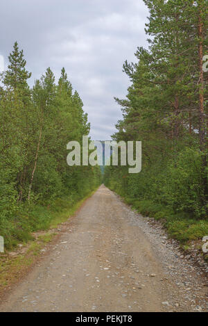Endless gravel road in Norwegian forest, in Alta, Finnmark, Norway. Stock Photo