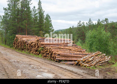 Pile of cutted lumber by a gravel road Stock Photo