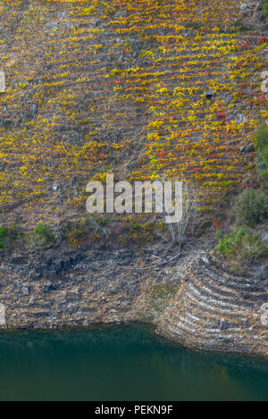 Los viñedos aterrazados llegan hasta la orilla del Sil, en la Ribeira Sacra de Sober Stock Photo