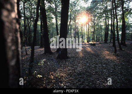 AJAXNETPHOTO. LOUVECIENNES, FRANCE. - ARTISTS WORKED HERE - WOODED LANDSCAPE OVERLOOKING THE RIVER SEINE VISITED BY IMPRESSIONIST PAINTERS OF THE 19TH CENTURY. PHOTO:JONATHAN EASTLAND/AJAX REF:091019 Stock Photo