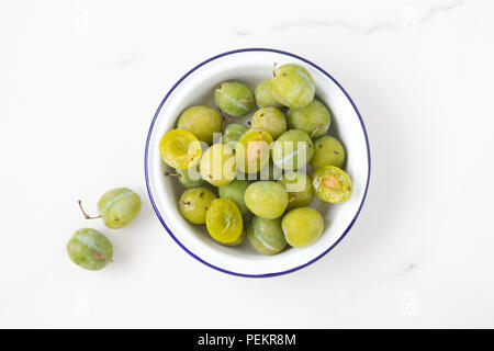 Prunus domestica Reine Claude. Greengages in a bowl. Stock Photo