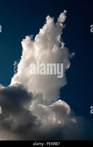 Cumulus clouds with vertical growth creating dramatic cloud shapes. Stock Photo