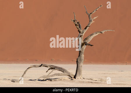 Red sand dune with lone dead branches, Deadvlei, Namibia Stock Photo
