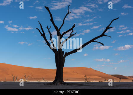Beautiful black silhouette tree in desert with sand dunes, Deadvlei, Namibia Stock Photo