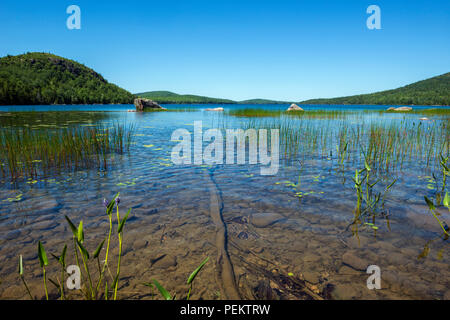 eagle lake Stock Photo