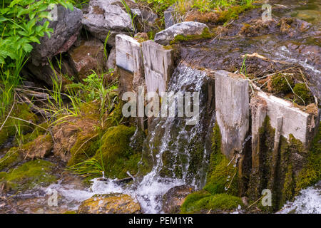 A small waterfall between the stones and two wooden planks among the green grass from a creek with clear mountain water in the mountains of the Altai Stock Photo