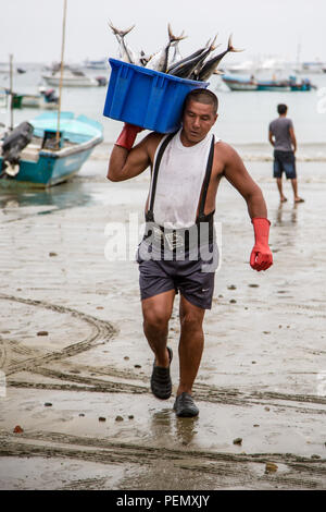 Puerto Lopez, Ecuador / Nov 27, 2012: Man carries bin of fish from boat to scale for sale Stock Photo