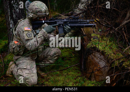 A Soldier assigned to the 15th Engineer Battalion, 18th Military Police Brigade, provides security during a live-fire convoy exercise at the 7th Army Joint Multinational Training Command’s Grafenwoehr Training Area, Grafenwoehr, Germany, Dec. 15, 2015. This exercise is designed to prepare Soldiers to dismount a vehicle and navigate through rough terrain while under fire. (U.S. Army photo by Pfc. Emily Houdershieldt/released) Stock Photo