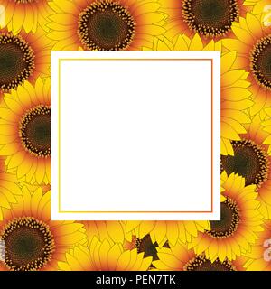 Orange Yellow Sunflower Banner Card. Vector Illustration. Stock Vector