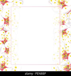 White Plum Blossom Flower Banner Card Border. Vector Illustration. Stock Vector