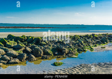 amazing sea landscape with a line of rocks and ocean view Stock Photo