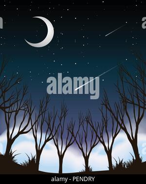 Night sky forest scene Stock Vector Image & Art - Alamy