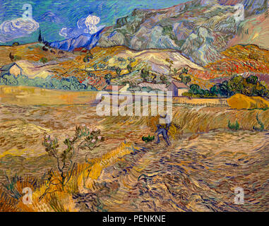 Landscape at Saint-Remy, Enclosed Field with Peasant, Vincent van Gogh, 1889, Indianapolis Museum of Art, Indianapolis, Indiana, USA, North America Stock Photo