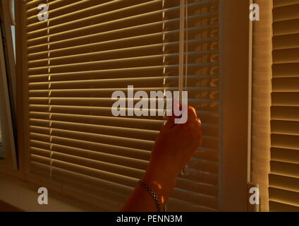 The woman's hand closes the horizontal blinds on the Windows. Stock Photo