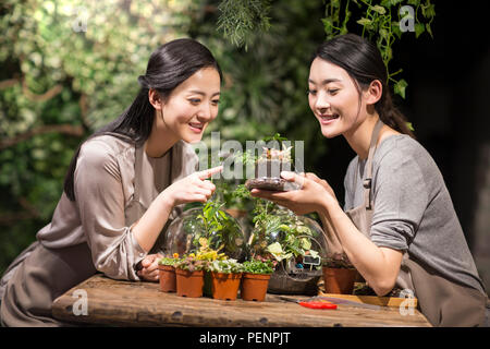 Young women working in plant shop Stock Photo