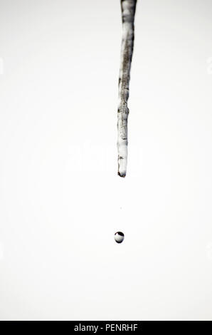 Single melting icicle with a drop falling down. Stock Photo