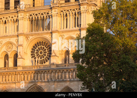 Setting sunlight on the front facade of Cathedral Notre Dame, Paris, France