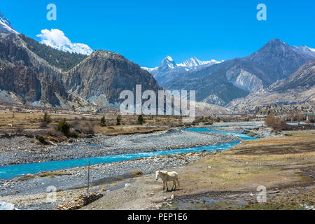 Beautiful mountain landscape with Bagmati river on a Sunny day, Nepal. Stock Photo