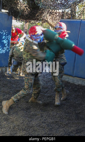 Marine recruits spar in a Marine Corps Martial Arts Program session at ...