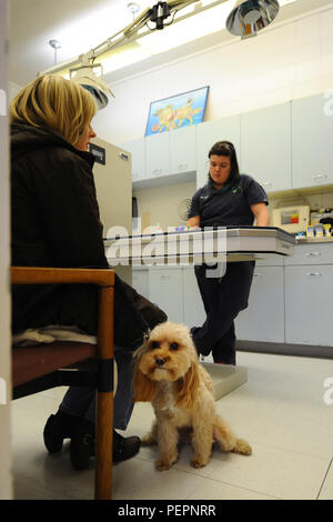 Topanga best sale veterinary clinic