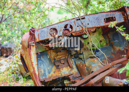 Rusty car wreck abandoned in a wood. Rusty details of the interiors wrapped by the plants of the forest. Stock Photo