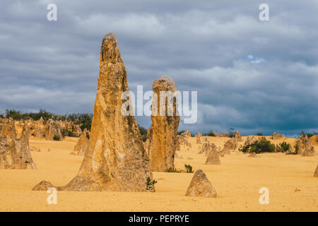 Dark Clouds and bizzar stone formations in Pinnacles desert, Nambung National Park, Western Australia, Oceania Stock Photo