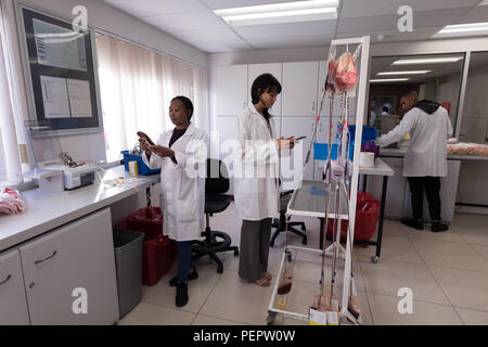 Laboratory technicians working in blood bank Stock Photo